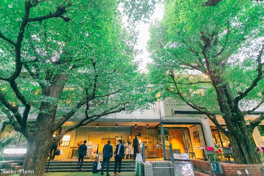 ロイヤルガーデンカフェ 青山